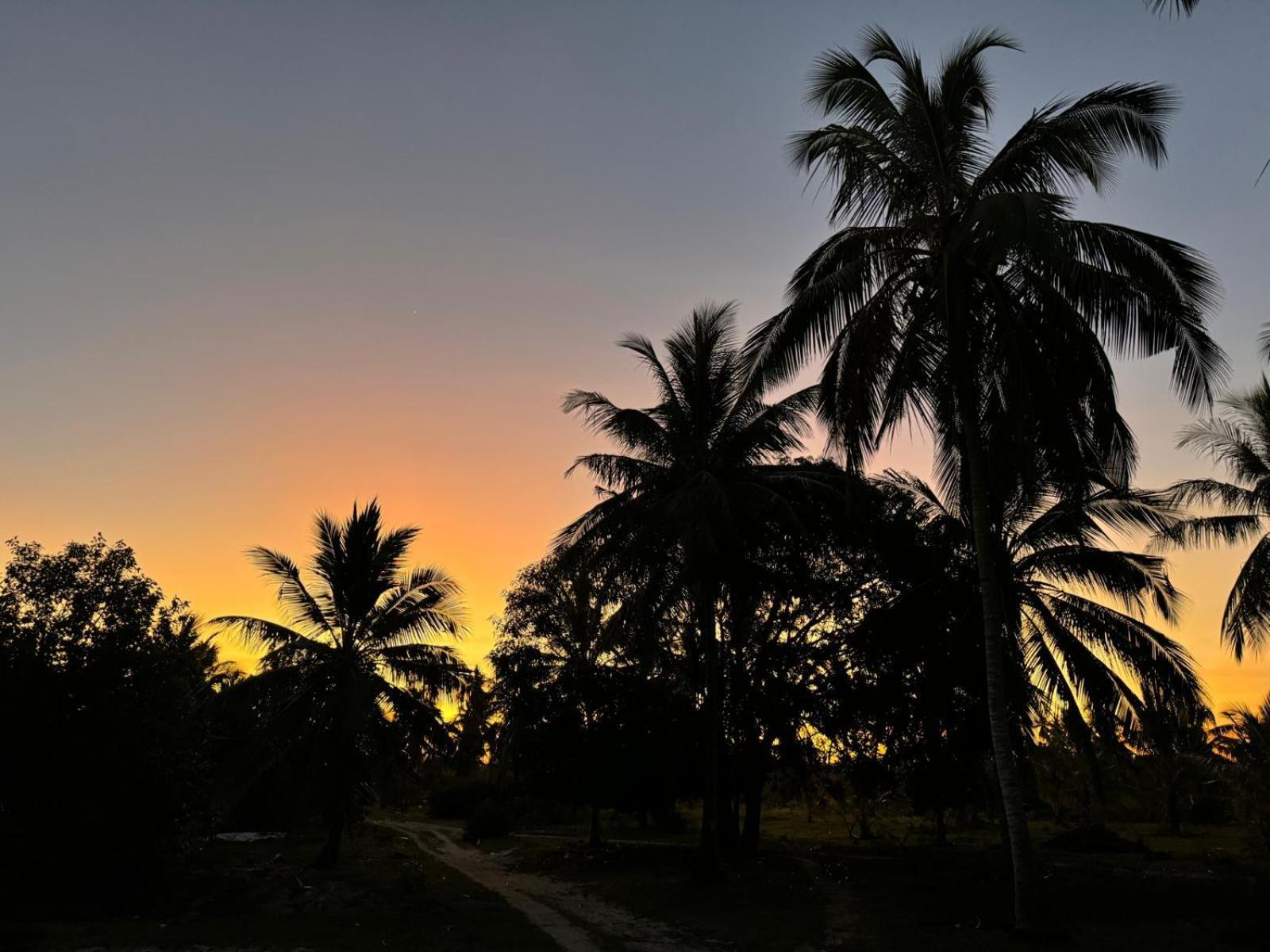 Mafia Island Bungalows Utende Luaran gambar
